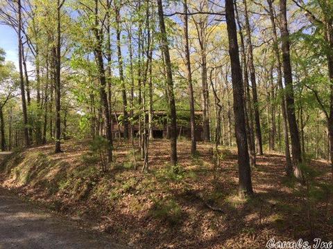 20 Redbud Rd, Mount Ida, AR 71957 photo 3