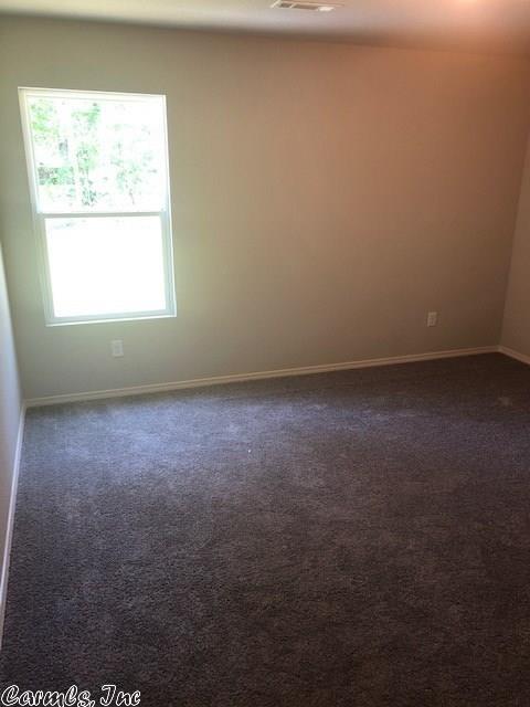 6504 Amalie Dr, Alexander, AR 72002 photo 6