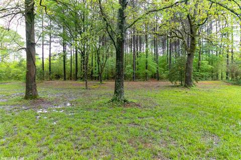 25 Hall Dr, Greenbrier, AR 72058 photo 36