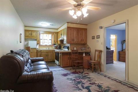 25 Hall Dr, Greenbrier, AR 72058 photo 31