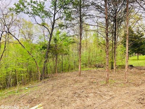 107 Harold Cir, Mountain View, AR 72560 photo 18