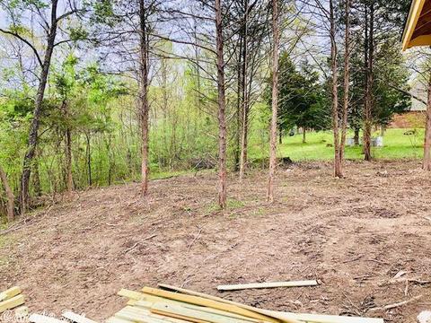 107 Harold Cir, Mountain View, AR 72560 photo 17