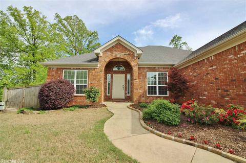 5007 Boulder Point Dr, Alexander, AR 72002 photo 5