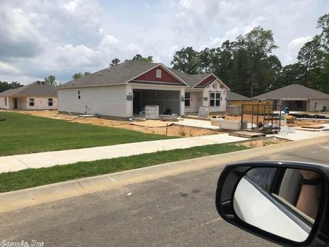 6349 Lena Dr, Alexander, AR 72002 photo 8