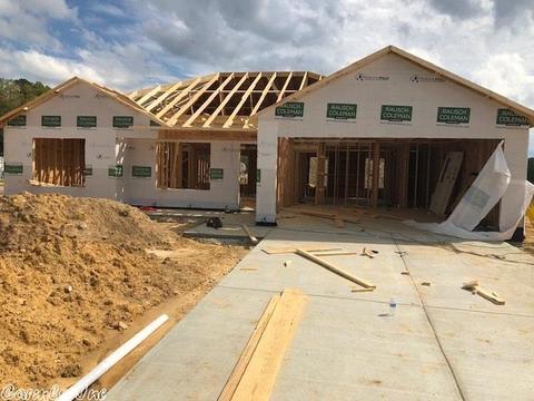 6349 Lena Dr, Alexander, AR 72002 photo 9