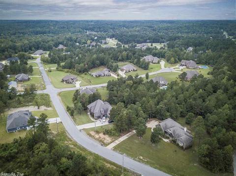 10034 Rhinestone Dr, Alexander, AR 72002 photo 40