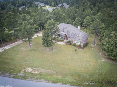 10034 Rhinestone Dr, Alexander, AR 72002 photo 39