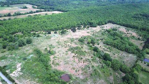 10138 Tadpole Rd, Cabot, AR 72023 photo 30