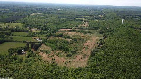10138 Tadpole Rd, Cabot, AR 72023 photo 28