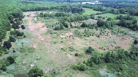 10138 Tadpole Rd, Cabot, AR 72023 photo 32