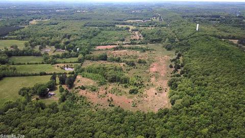 10138 Tadpole Rd, Cabot, AR 72023 photo 27