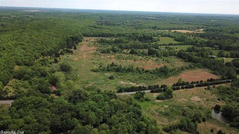 10138 Tadpole Rd, Cabot, AR 72023 photo 11