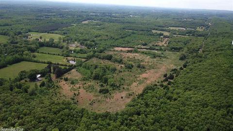 10138 Tadpole Rd, Cabot, AR 72023 photo 12