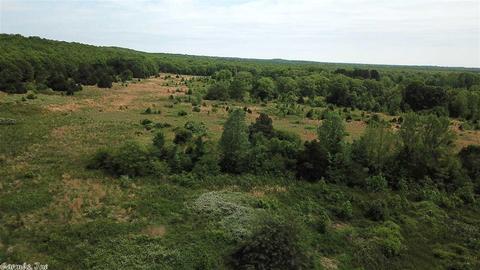 10138 Tadpole Rd, Cabot, AR 72023 photo 10