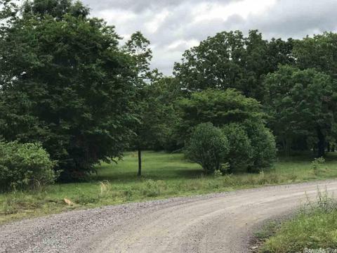 19 River Crest Dr, Bigelow, AR 72016 photo 3