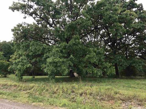 19 River Crest Dr, Bigelow, AR 72016 photo 2