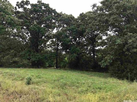 19 River Crest Dr, Bigelow, AR 72016 photo 4