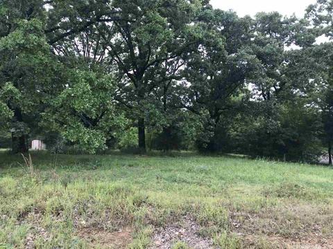 19 River Crest Dr, Bigelow, AR 72016 photo 1