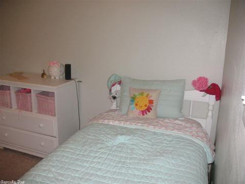 2909 Bristol Dr, Benton, AR 72015 photo 9