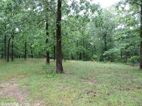 156 Pooler Ln, Malvern, AR 72104 photo 3