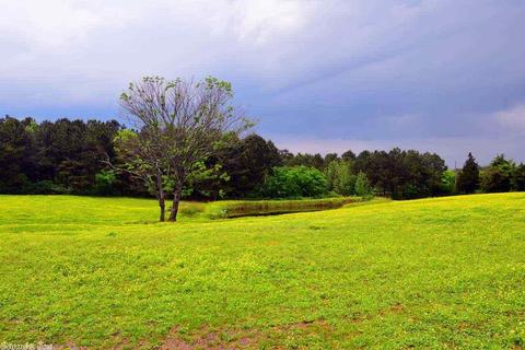 36 Spires Rd, Damascus, AR 72039 photo 36