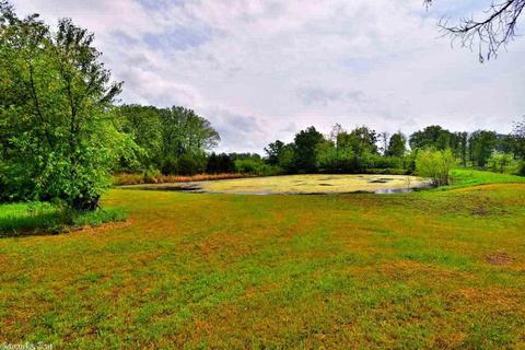 36 Spires Rd, Damascus, AR 72039 photo 29