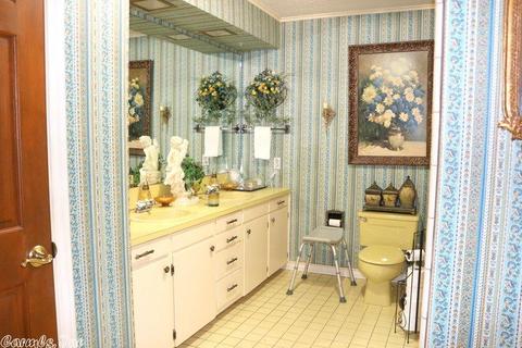 117 Caddo Trl, De Queen, AR 71832 photo 11