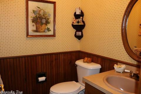 117 Caddo Trl, De Queen, AR 71832 photo 9