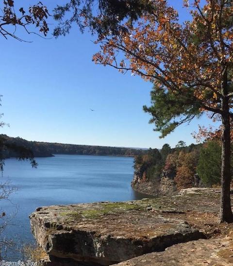 55 Raynors Rdg, Drasco, AR 72530 photo 3