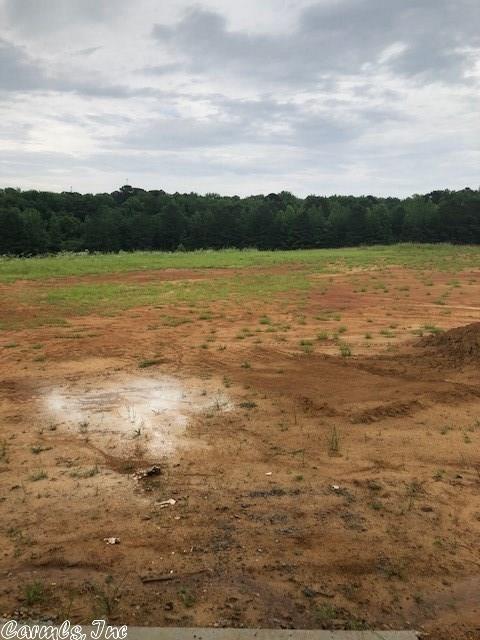 6064 Saddle Hill Dr, Alexander, AR 72002 photo 21