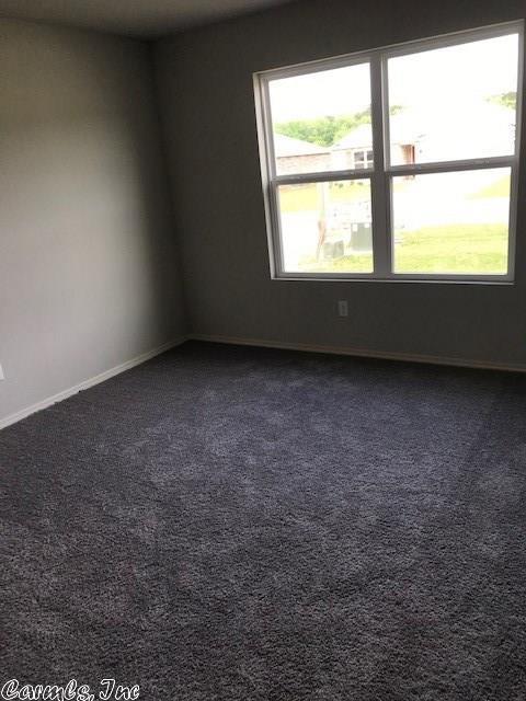 6137 Saddle Hill Dr, Alexander, AR 72002 photo 10
