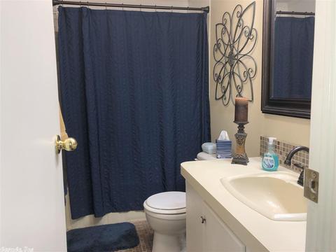 2425 Arlie Moore Rd, Bismarck, AR 71929 photo 11