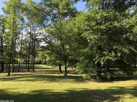 2425 Arlie Moore Rd, Bismarck, AR 71929 photo 22