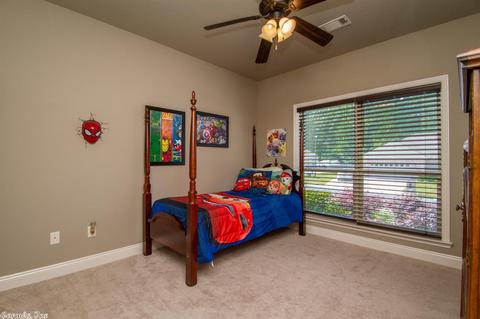 112 Hudson Branch Dr, Austin, AR 72007 photo 31