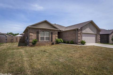 55 Grandstand Dr, Austin, AR 72007 photo 1