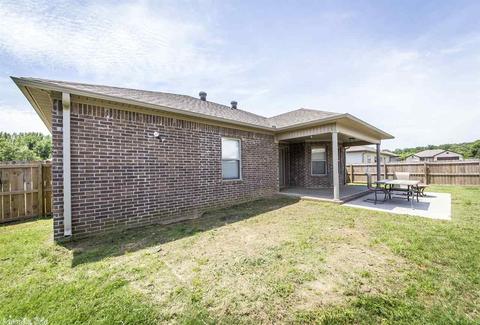 55 Grandstand Dr, Austin, AR 72007 photo 32