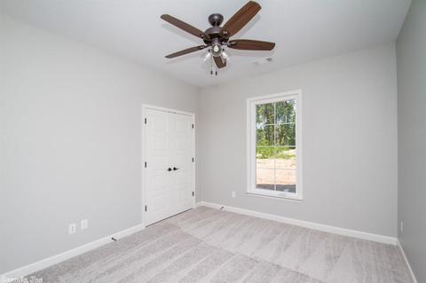 10113 Sanibel Loop, Alexander, AR 72002 photo 22