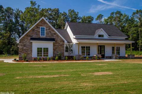 10113 Sanibel Loop, Alexander, AR 72002 photo 1