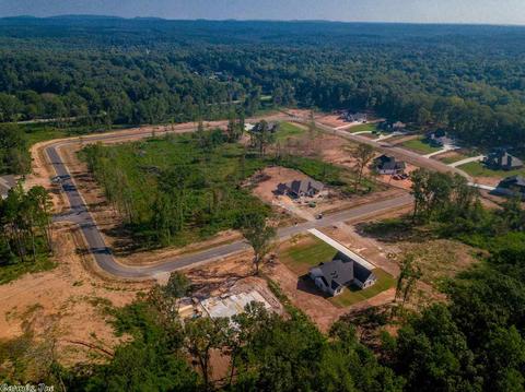10113 Sanibel Loop, Alexander, AR 72002 photo 39