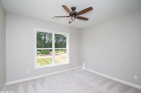 10113 Sanibel Loop, Alexander, AR 72002 photo 23
