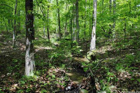 941 Almond Rd, Jerusalem, AR 72080 photo 10