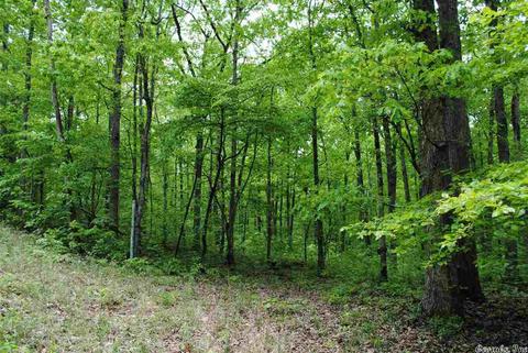941 Almond Rd, Jerusalem, AR 72080 photo 26