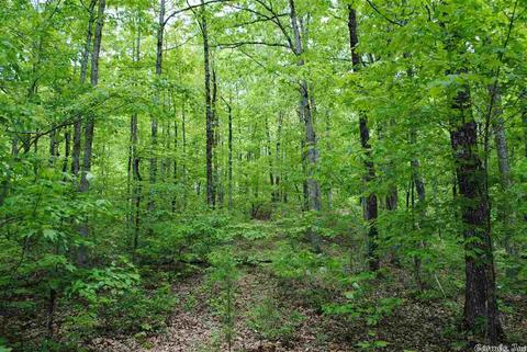 941 Almond Rd, Jerusalem, AR 72080 photo 13