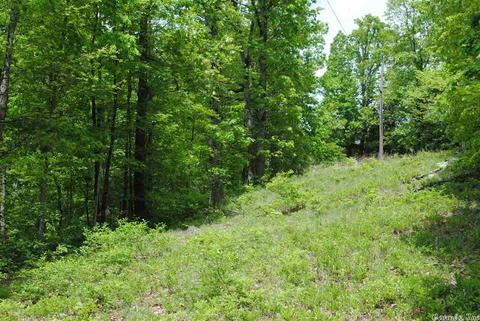 941 Almond Rd, Jerusalem, AR 72080 photo 3