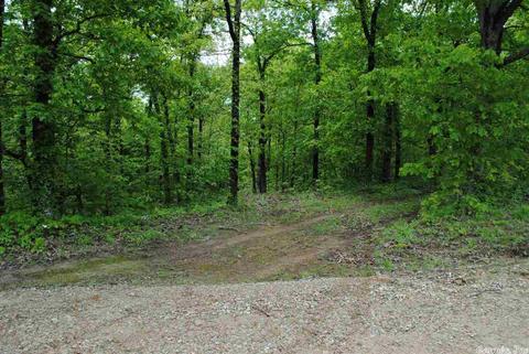 941 Almond Rd, Jerusalem, AR 72080 photo 29
