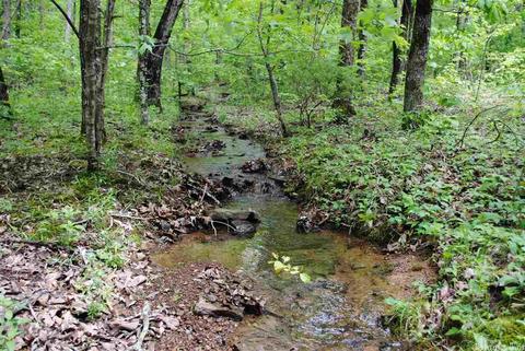 941 Almond Rd, Jerusalem, AR 72080 photo 21