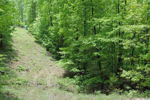 941 Almond Rd, Jerusalem, AR 72080 photo 2