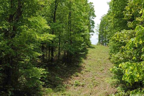 941 Almond Rd, Jerusalem, AR 72080 photo 4