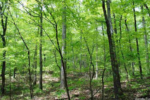 941 Almond Rd, Jerusalem, AR 72080 photo 7