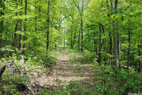 941 Almond Rd, Jerusalem, AR 72080 photo 1